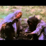 Monty Python y la legitimidad de la monarquía