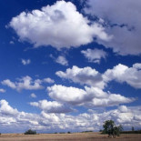 El famoso 'fraile del tiempo' "que siempre acierta" cumple 120 años