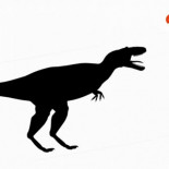 En qué se parecen un dinosaurio y un atún