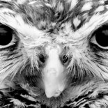 Buenos escritores, malas personas