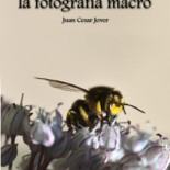 Un libro sobre fotografía macro libre y gratuito
