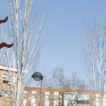 Ya hay siete comunidades autónomas con más defunciones que nacimientos