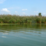 Un vertido de productos homeopáticos se salda con cero consecuencias