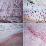 ¿Piensas que todo es blanco en la Antártida? Aquí tienes unas coloridas imágenes del continente helado [eng]