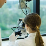 47 españoles entran en la lista de los 3.000 investigadores más importantes del mundo