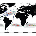 ¿Dónde está el plástico que falta en el océano?