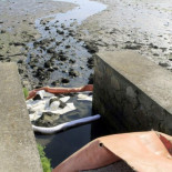 El temporal provoca un vertido de gasoil en la ría de Ferrol