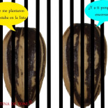 El terror de la agricultura y la privatización de las semillas llega a Europa