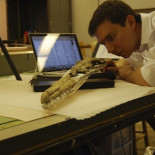 El ave más grande de la historia evolutiva podía volar