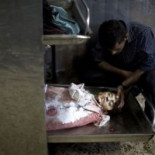 Imagenes de Gaza que no están en los medios gráficos [ENG] [NSFW]