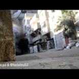 Los palestinos no existen