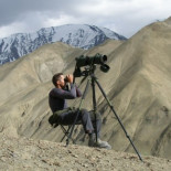 Fantasmas en la nieve: cuatro españoles en busca del felino más esquivo del Himalaya