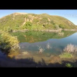 Filmado (y confirmado) el cocodrilo de 2 metros en un embalse en Creta