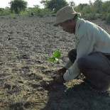 El hombre que empezó a plantar árboles en una isla y ya tiene un bosque mayor que Central Park