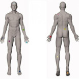 Crean el primer mapa preciso del tacto y el dolor
