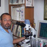 Las bacterias manipulan la sal para construir refugios en los que hibernar