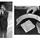 El hombre que enviaba algas, cebollas y otros 32.000 curiosos objetos para cachondearse de Correos