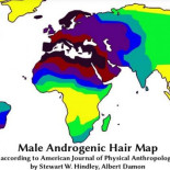 Mapamundi que muestra porcentaje de hombres peludos