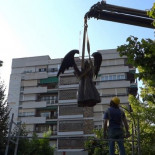 Granada retira el monolito a Primo de Rivera