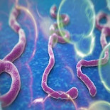 Por qué debería empezar a preocuparnos que el Ébola haya llegado a la ciudad Lagos