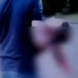 Un tigre le arranca la mano a un niño de 11 años en un zoológico