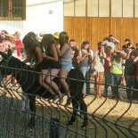 PACMA denunciará la celebracion de la "Gran burrada" de Binaced