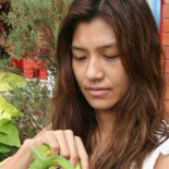 La desesperada carta de Frank Cuesta (Frank de la jungla) a la embajada tailandesa por la libertad de Yuyee