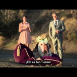 ¿Por qué debemos dejar de criar bulldogs?