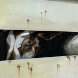 Un infierno sobre ruedas: daños colaterales de la tauromaquia