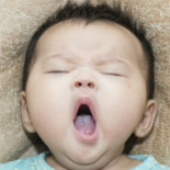 Por qué los bostezos siguen siendo un misterio