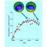 La capa de ozono comienza a recuperarse