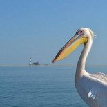 Un viaje por 10 ciudades que se internan en el mar
