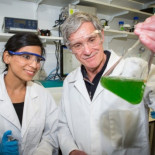 Un equipo de científicos ha replicado uno de los pasos cruciales en la fotosíntesis [eng]