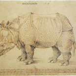 La insólita odisea del rinoceronte de Durero