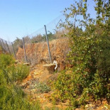 La degradación del aeropuerto de Castellón pone en riesgo de inundación a localidades vecinas