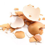 ¿Te gusta la tortilla poco hecha? A la 'Salmonella' también