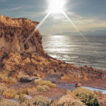 Cuando la Antártida fue un paraíso