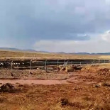 Un tren regional cruza un tramo de vía suspendido en el aire tras la inundación