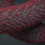 Médicos sin Fronteras: "El mundo está perdiendo la batalla contra el Ébola"