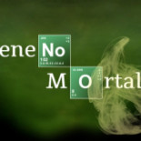 Química de Breaking Bad: Intoxicación por ricina