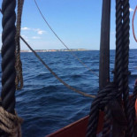 Hallan en Dinamarca una embarcación mucho más antigua que las pirámides de Egipto (ENG)