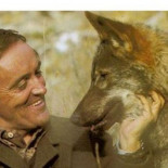 Descubren que el monumento homenaje a Félix Rodríguez de la Fuente en Alaska ha sido sepultado por una carretera