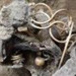 Inglaterra:  hallan un magnífico tesoro de época romana