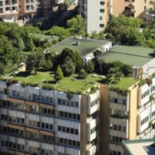 Copenhague hace obligatorias las azoteas verdes