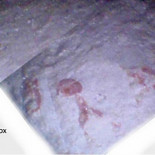 Robot capta las primeras imágenes de una cámara secreta de la Gran Pirámide [eng]