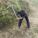 El hombre que fabrica bosques