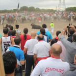 Ruth Toledano, agredida en el Toro de la Vega: "Es una muestra de la violencia que se respira"