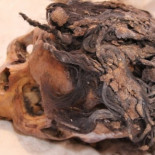 Hace 3.300 años se llevaban las trenzas, el tinte y las extensiones