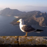 8 razones para perderse en las islas Cíes