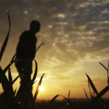 No quiero pasar de los 75 años: 5 razones para vivir menos tiempo